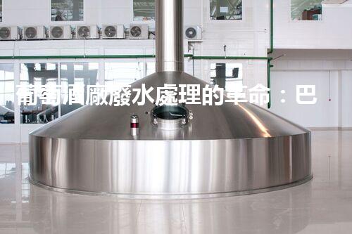 葡萄酒廠廢水處理的革命：巴洛仕的創(chuàng)新技術(shù)！